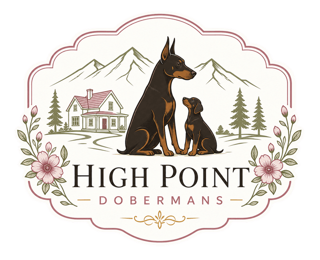 High Point Dobermans