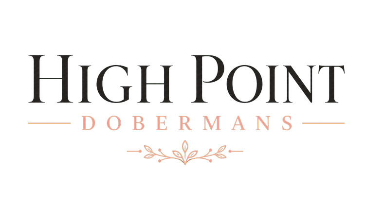 High Point Dobermans