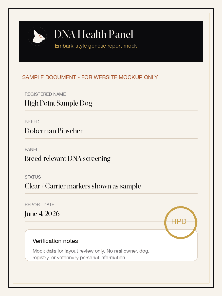 Embark DNA